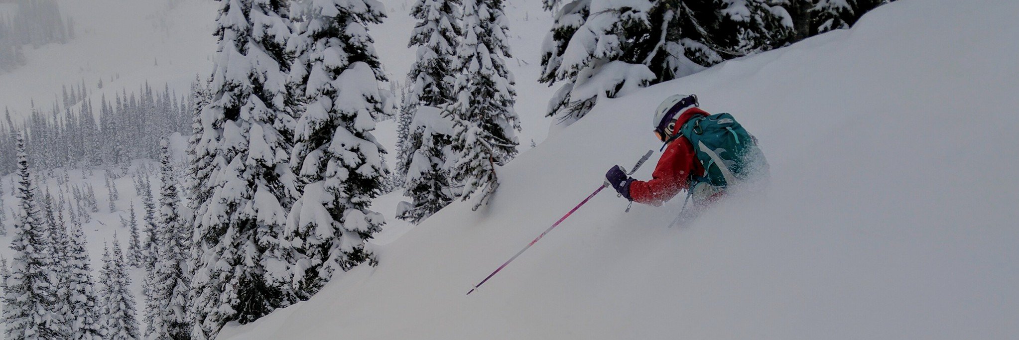 Chris Montecillo Leider banner