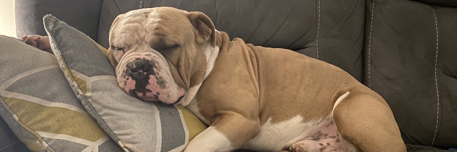 Ann-marie Colvan banner