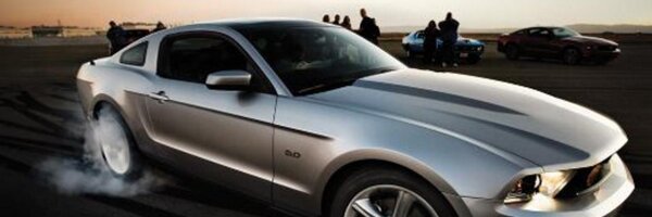 mr_marceloreal Profile Banner