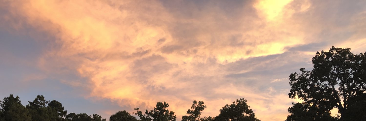 Beccasheadayy's profile banner image