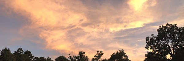 Beccasheadayy Profile Banner