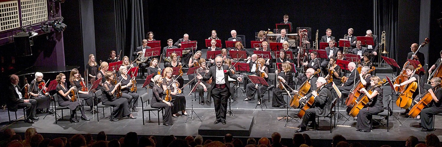 Epsom Symphony Orchestra banner