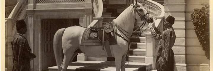 mst_g's profile banner image