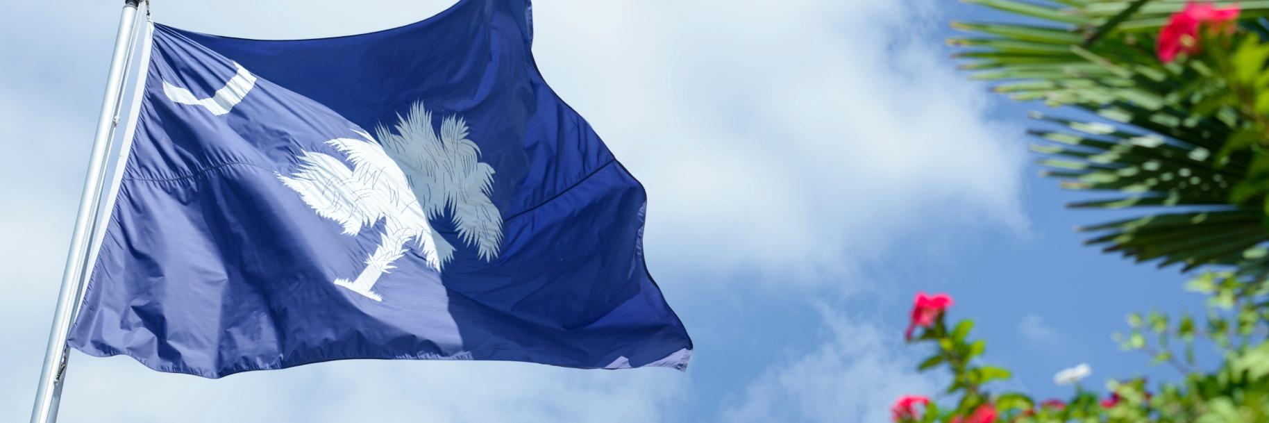 DioceseofCharleston banner