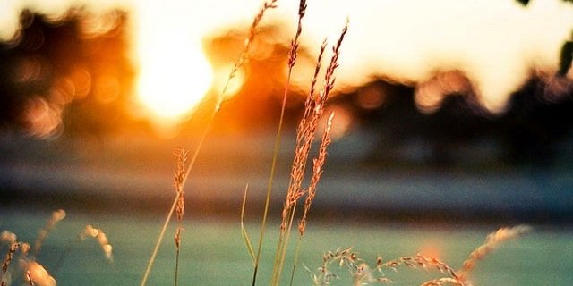 AllyMnich's profile banner image