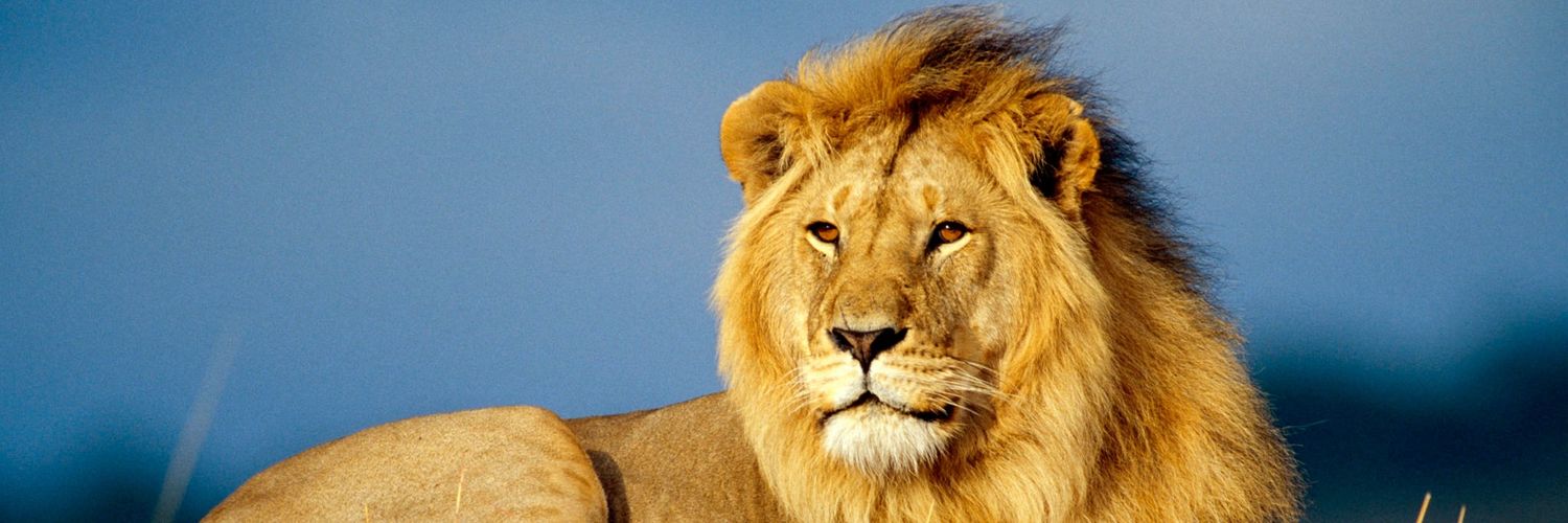 Mir_226's profile banner image