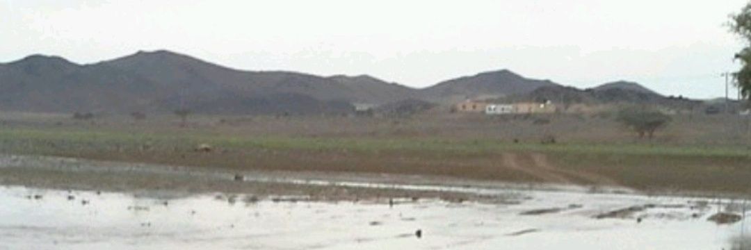 راجيةعفوربها سميرة حمادي banner