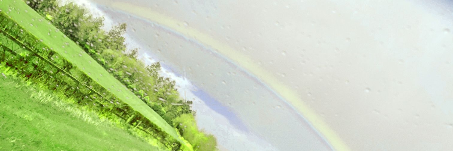 __shell's profile banner image