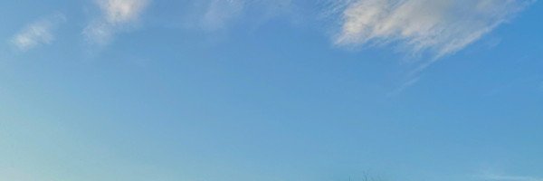 shwh1130's profile banner image