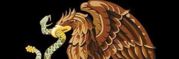 HectorFinit's profile banner image
