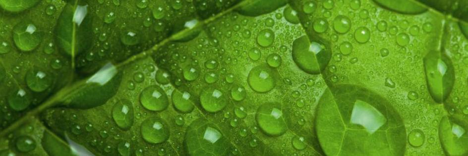 COMPO EXPERT Turkey banner