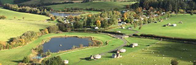 Fforest Fields banner