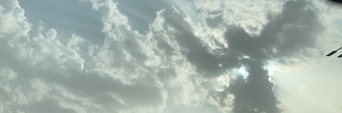 Rooojyksa's profile banner image