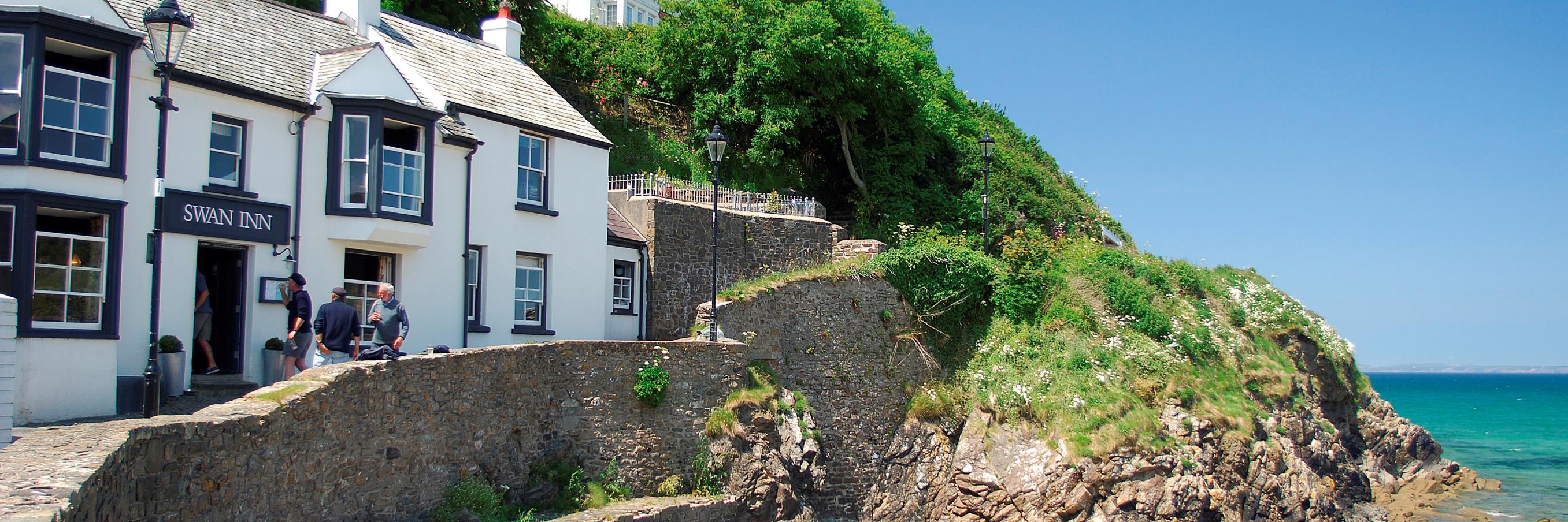 swaninnpembs's profile banner image