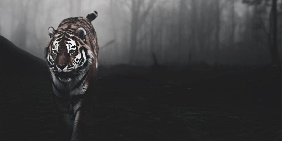 chrgrace's profile banner image