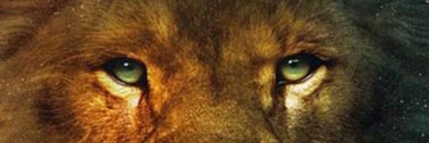 heribertohrn's profile banner image