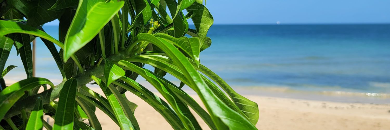 Ac23Anderson's profile banner image