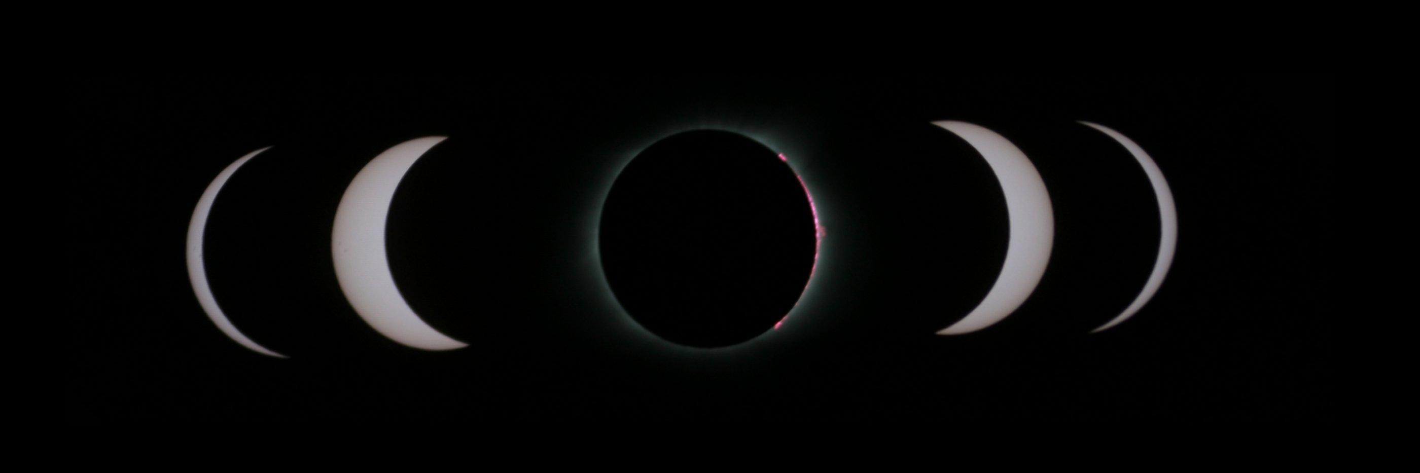 xnoɹ әddılıɥd banner