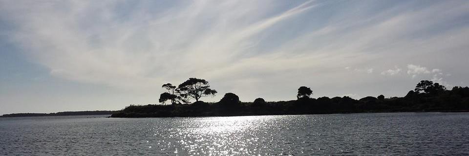 MarieBallatore's profile banner image