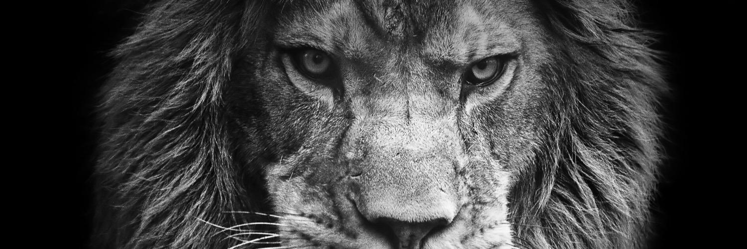 SerhatKara9's profile banner image