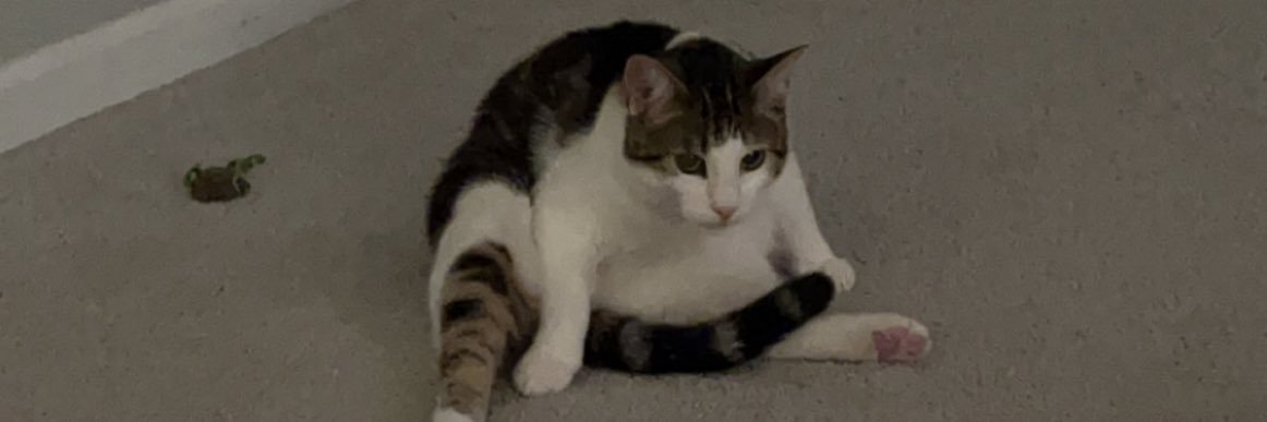 HorniestMilf's profile banner image