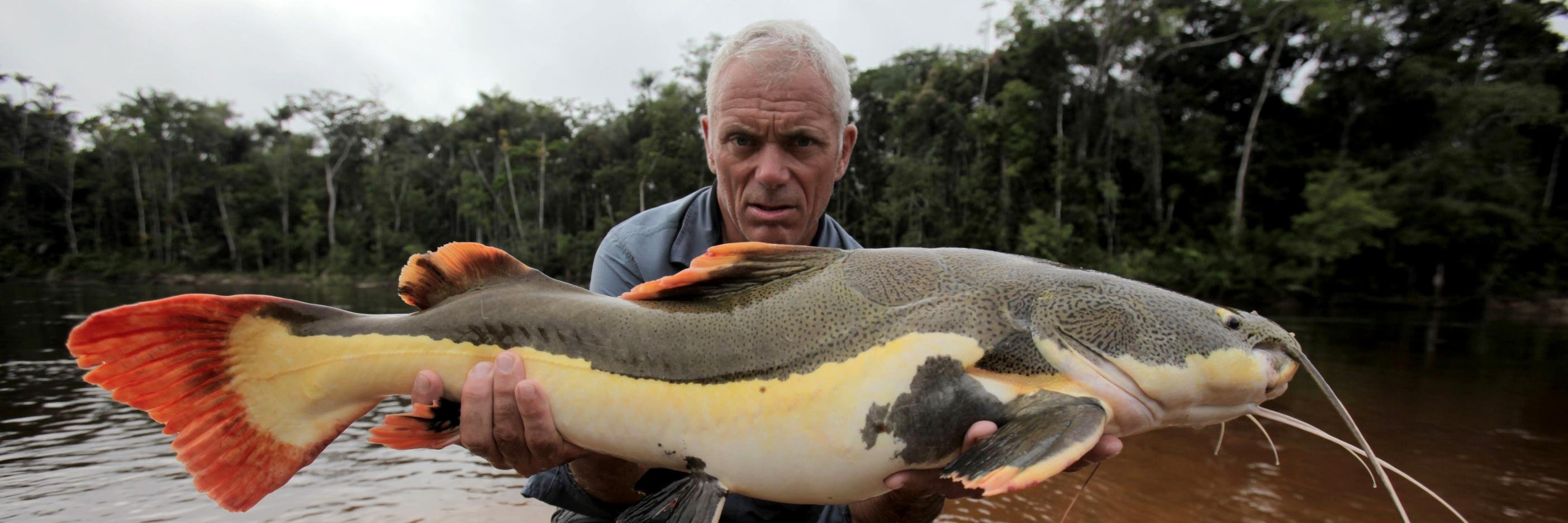 CatFishnJournal's profile banner image