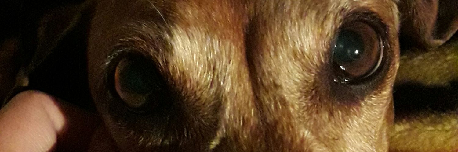 sofy01naty's profile banner image