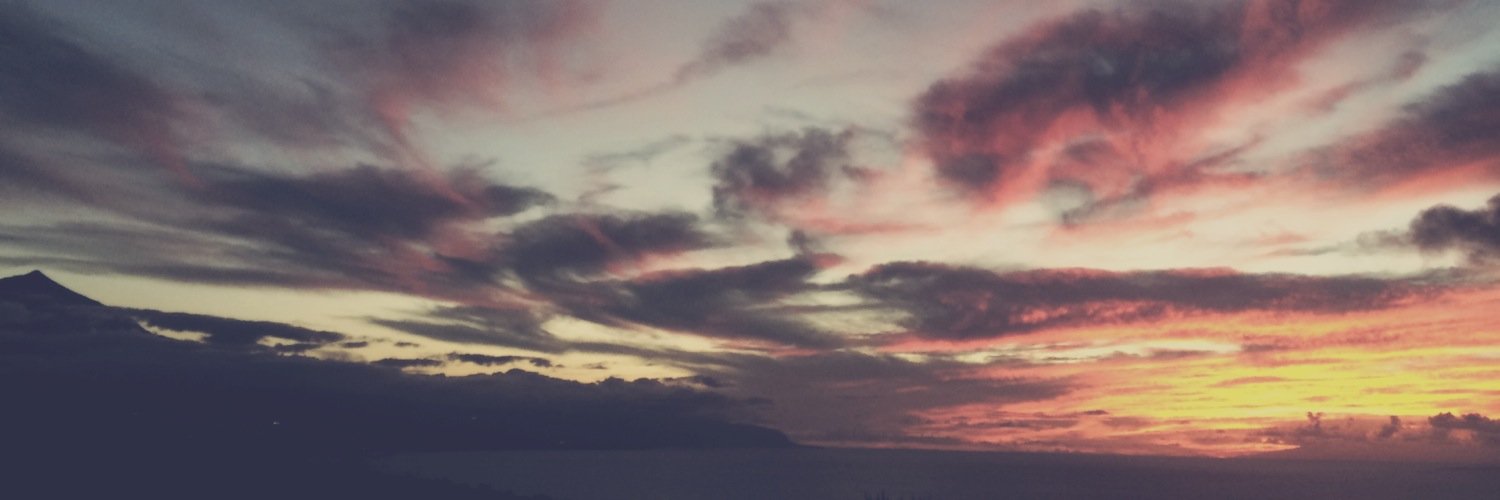 MnssMarta's profile banner image