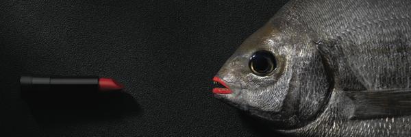 PRougereau Profile Banner