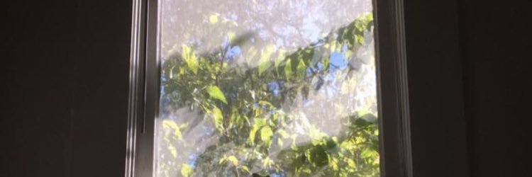 lungfulls's profile banner image
