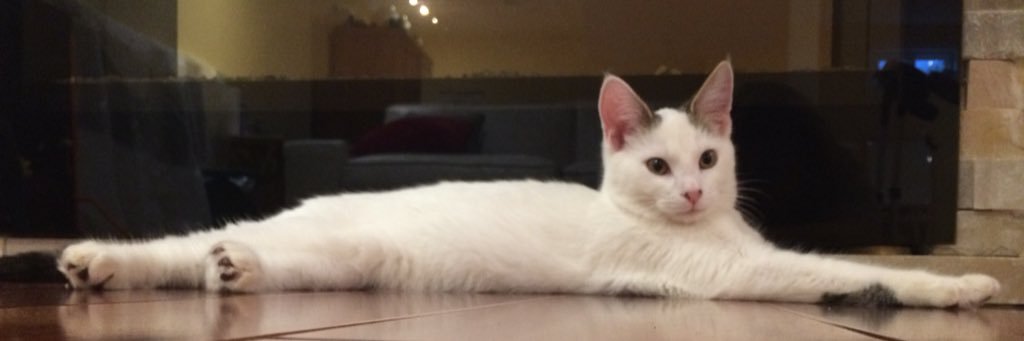 MaaraHL's profile banner image