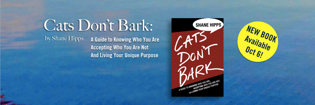 shanehipps's profile banner image