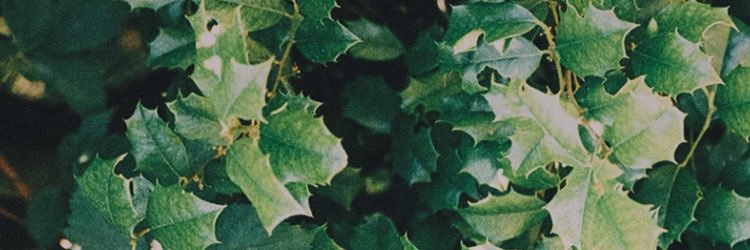 AdamBarabas's profile banner image