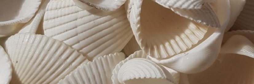 erddravera's profile banner image