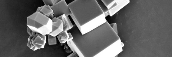 Alex_Legrand_ Profile Banner