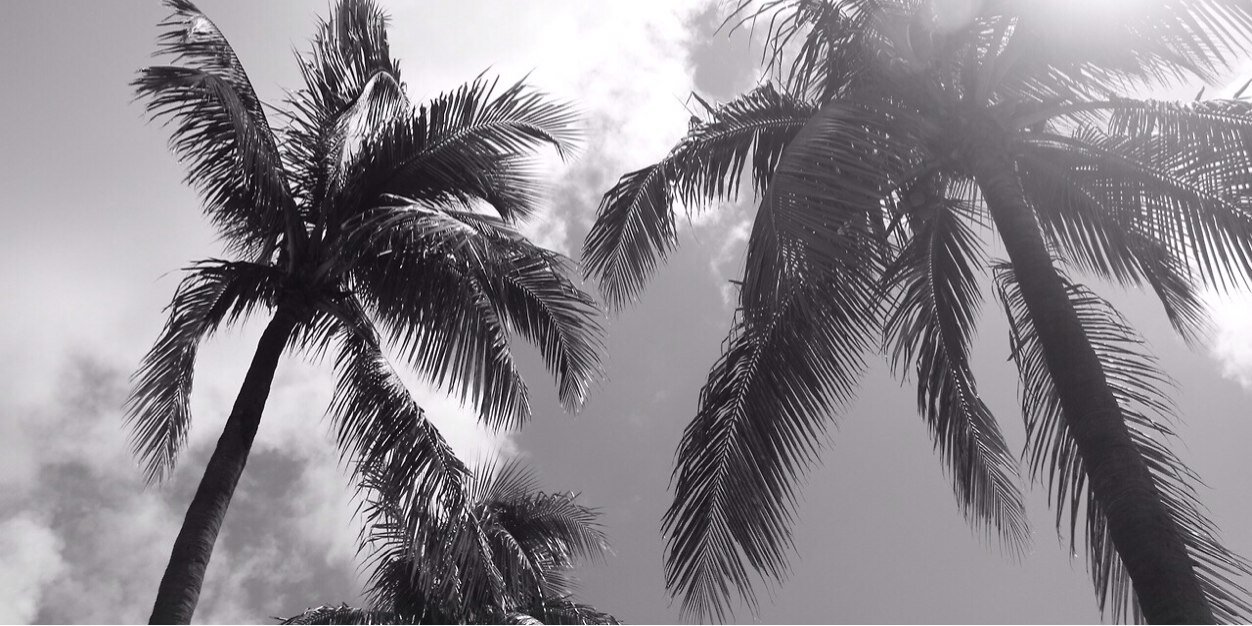 lillyreding33's profile banner image