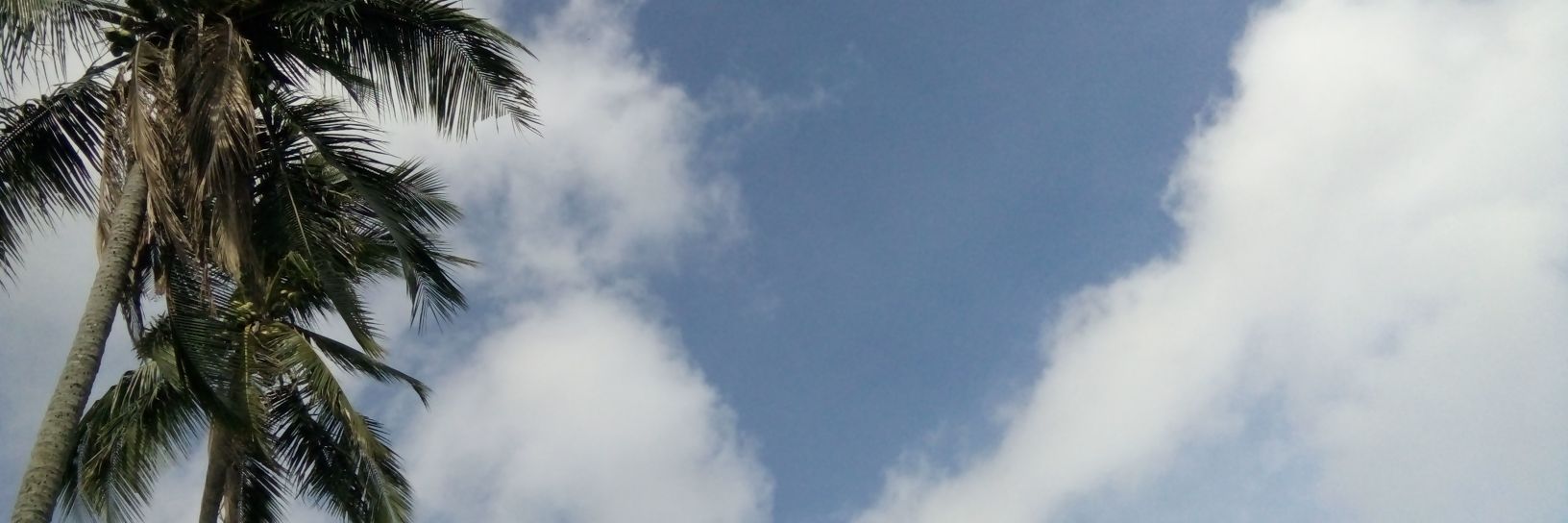 MichaelPatulay's profile banner image