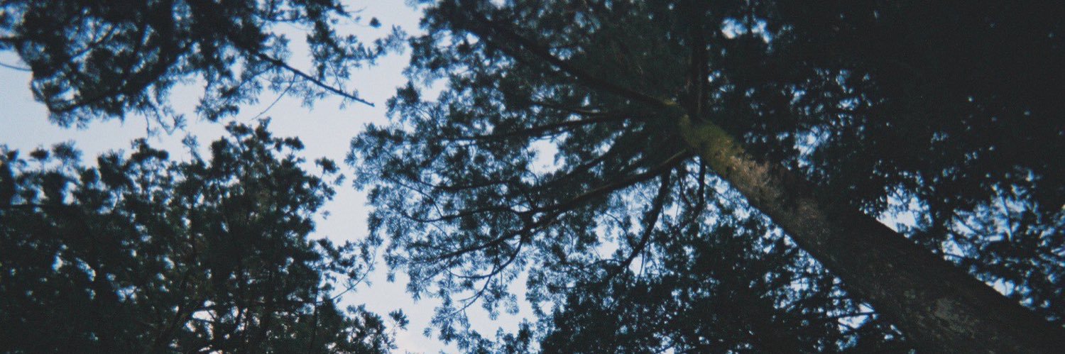 k_990708's profile banner image