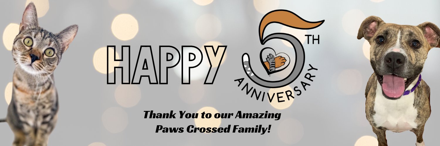 Pawscrossedny's profile banner image