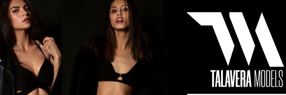 Talavera Models banner