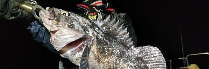 ajishiotarou2's profile banner image