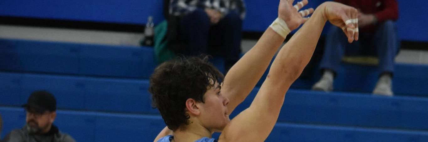 Carrie Bodkins banner