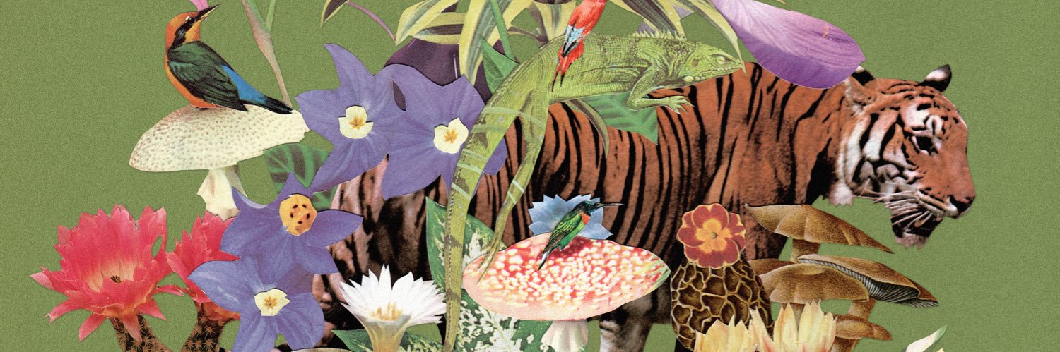 Monster Rally banner