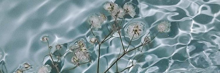 agathaevaa's profile banner image