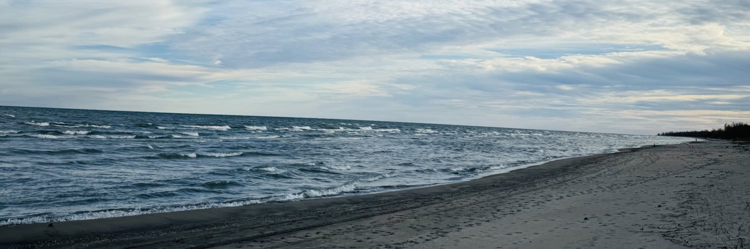 Bridget Carleton banner