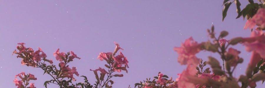 Janetmino96's profile banner image