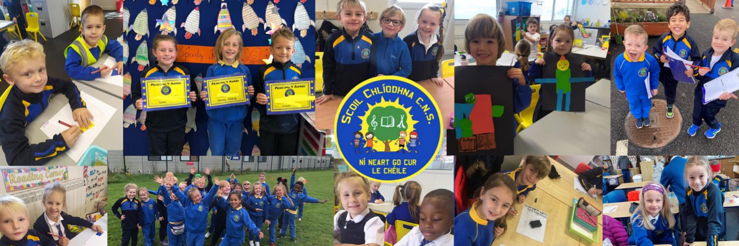 Carrigtwohill Community National School banner