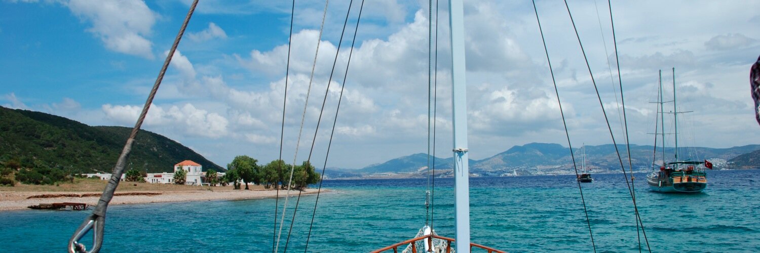 Stefania Di Cicco banner