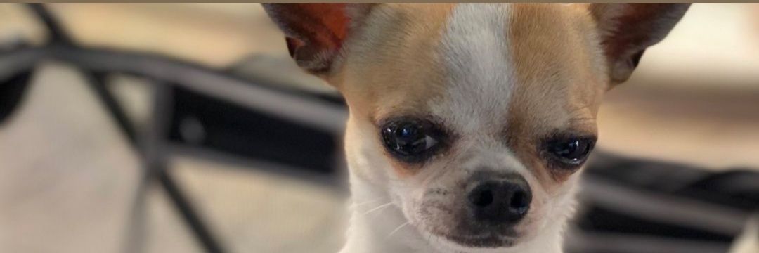 Fresleve's profile banner image