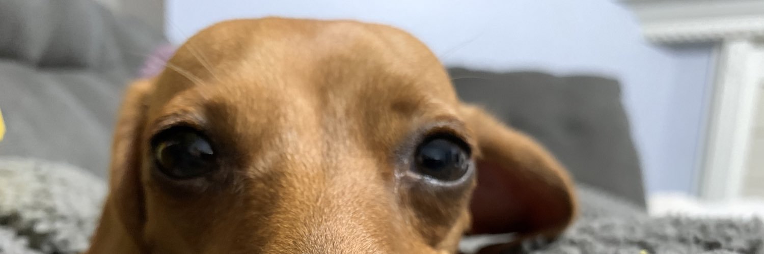 krissssppy's profile banner image